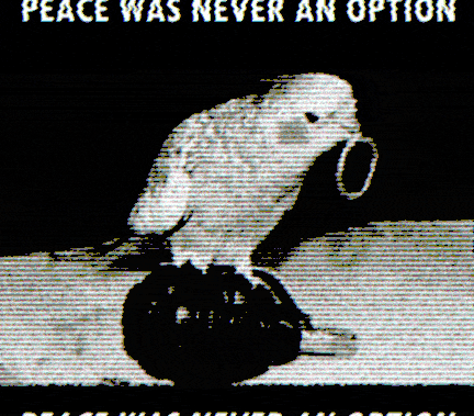 a bird with a grenade pin, 'Peace was never an option'